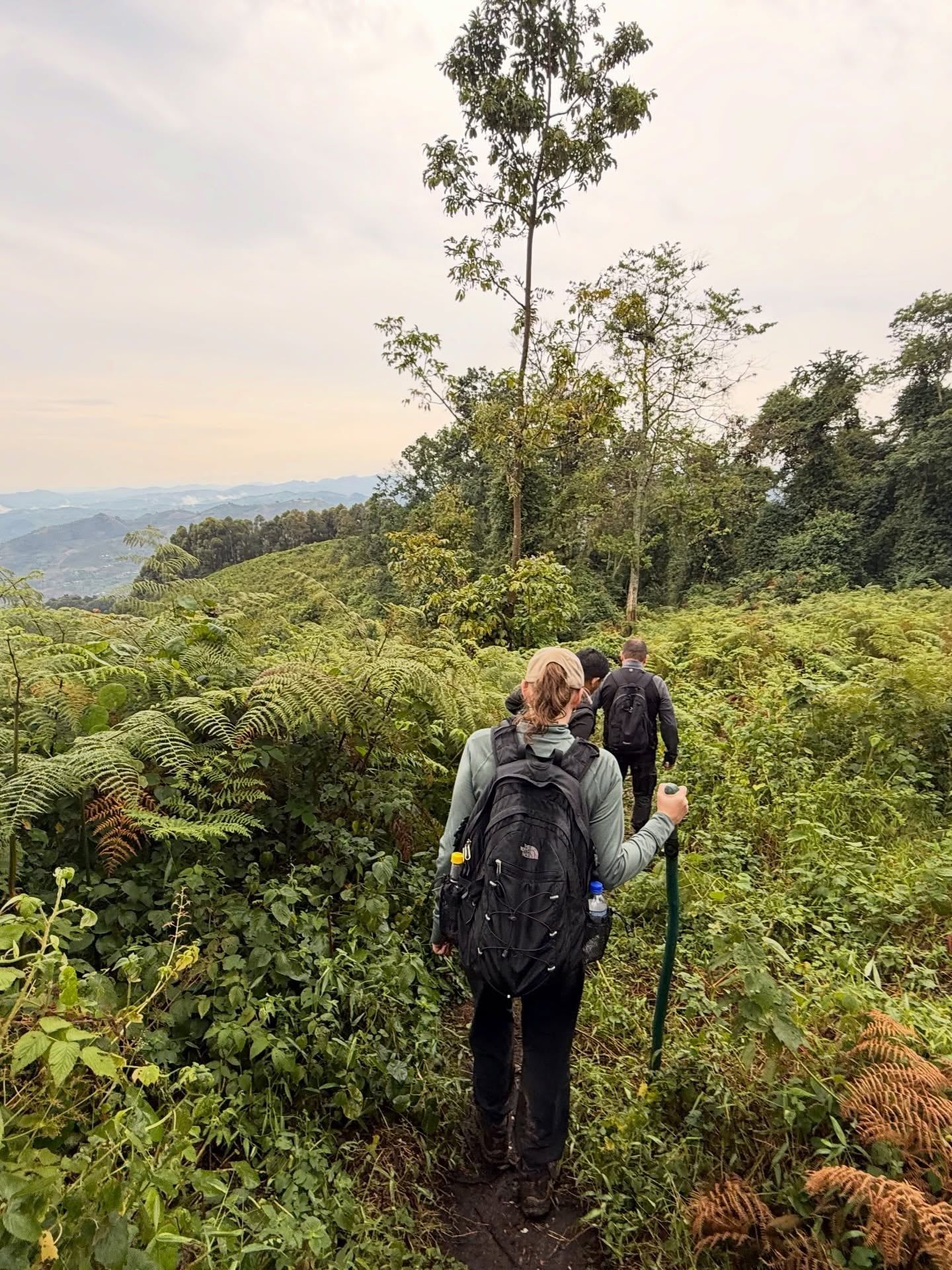 Besucherfoto einer Bwindi-Impenetrable-Nationalpark Tour